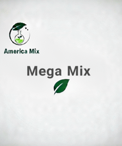 Mega Mix